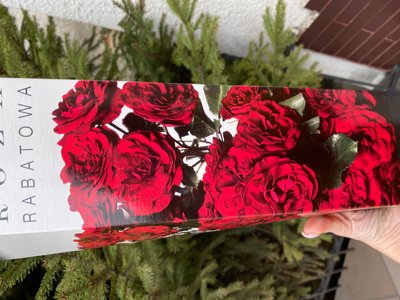 Троянда бордюрна червона 50-90 см , шт 00549 фото