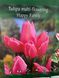 1021 фото 1