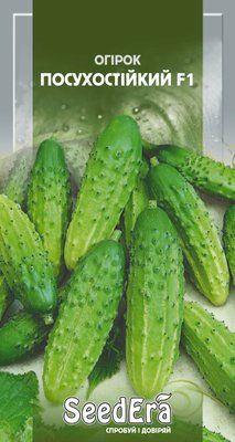 00356 фото
