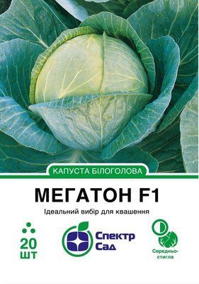 Білоголова капуста пізня Мегатон F1, 20 шт Спектр Сад 0343 фото