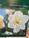 6534 фото 2