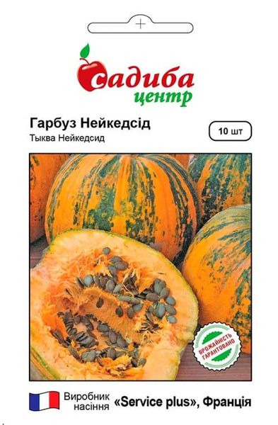 Гарбуз Нейкедсід 10 шт, Садиба Центр 00276 фото