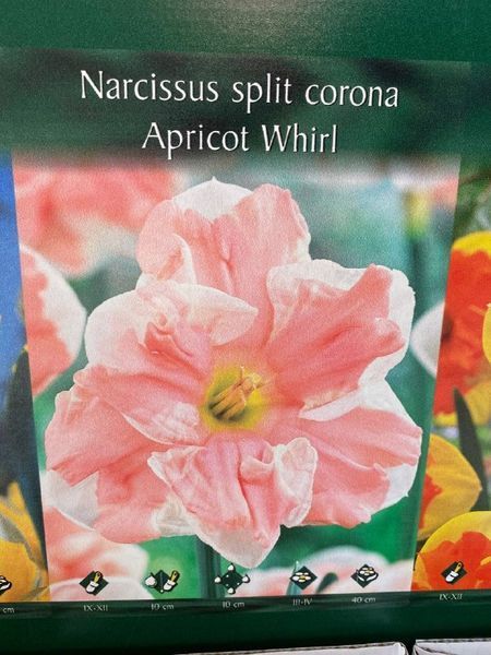 68464 фото