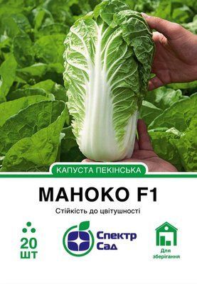 Пекінська капуста Маноко F1, 20 шт Спектр Сад 11112 фото