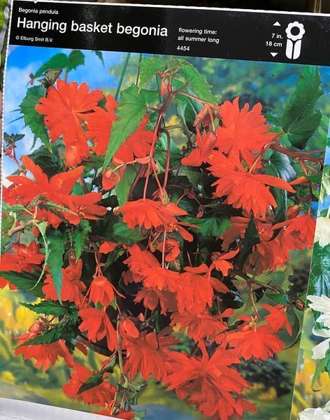 7568 фото