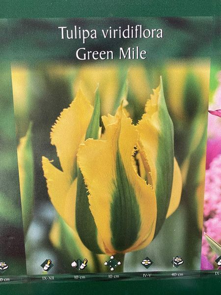 98688 фото